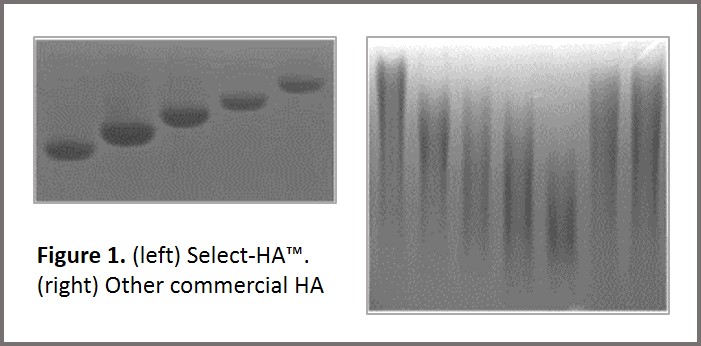 Hyalose, Select-HA Ladder, Hyaluronic Acid