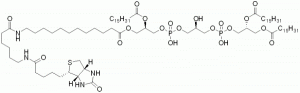 sn-1-Biotin-Labeled Cardiolipin (Biotin-Cardiolipin) - Echelon Biosciences