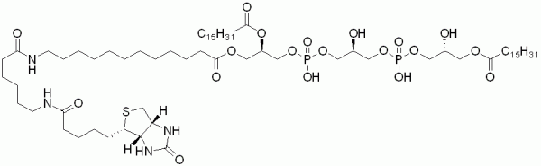 sn-1-Biotin-Labeled Monolysocardiolipin (Biotin-monolysocardiolipin) - Echelon Biosciences
