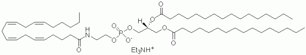 1,2-Dipalmitoyl-sn-glycero-3-phosphoethanolamine-N-arachidonoyl (N-arachidonoyl-DPPE) - Echelon Biosciences
