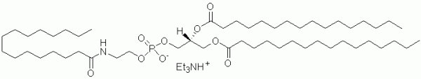 1,2-Dipalmitoyl-sn-glycero-3-phosphoethanolamine-N-palmitoyl (N-palmitoyl-DPPE) - Echelon Biosciences