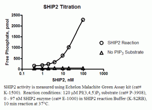 SHIP2 Lipid Phosphatase Enzyme, active - Echelon Biosciences