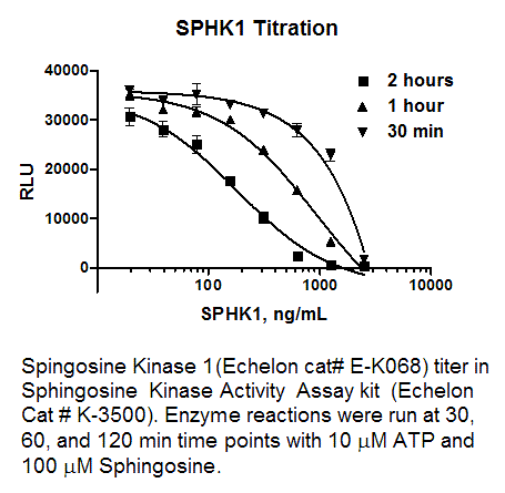 Sphingosine kinase 1, active - Echelon Biosciences