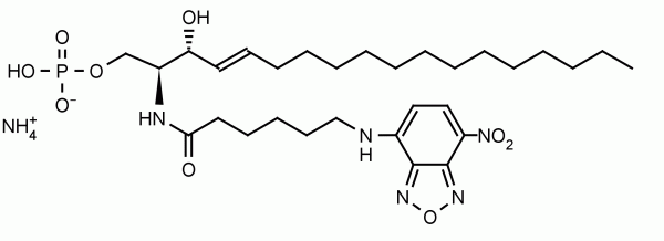 N-NBD Ceramide 1-phosphate - Echelon Biosciences