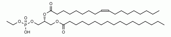 17:0, 18:1 Phosphatidylethanol - Echelon Biosciences