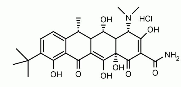 9-tert-Butyl Doxycycline HCl - Echelon Biosciences