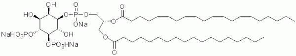 Phosphatidylinositol 4,5-bisphosphate 18:0/20:4 - Echelon Biosciences