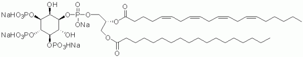 PI(3,4,5)P3 (Phosphatidylinositol 3,4,5-trisphosphate) 18:0/20:4 - Echelon Biosciences