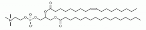 1-Margaroyl-2-oleoyl-sn-glycero-3-phosphocholine (MOPC, 17:0,18:1 PC) - Echelon Biosciences