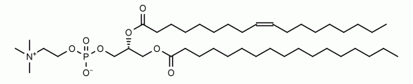1-Margaroyl-2-oleoyl-sn-glycero-3-phosphocholine (MOPC, 17:0,18:1 PC) - Echelon Biosciences