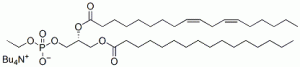 1-Palmitoyl-2-linoleoyl-sn-glycero-3-phosphoethanol (PLPEth) - Echelon Biosciences