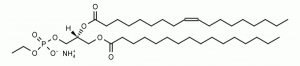 1-Palmitoyl-2-oleoyl-sn-glycero-3-phosphoethanol (POPEth) - Echelon Biosciences