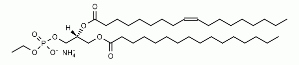 1-Palmitoyl-2-oleoyl-sn-glycero-3-phosphoethanol (POPEth) - Echelon Biosciences