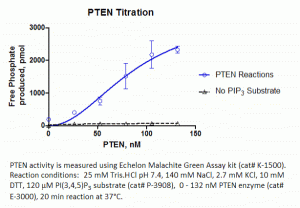 PTEN Enzyme, active - Echelon Biosciences