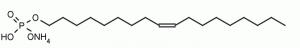 9Z-Octadecenyl phosphate - Echelon Biosciences