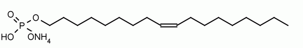 9Z-Octadecenyl phosphate - Echelon Biosciences