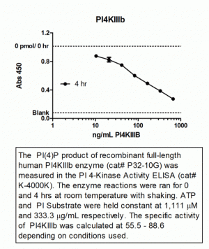 PI4-Kinase beta (PI4Kb), active - Echelon Biosciences