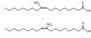 9(10)-Nitrooleic Acid - Echelon Biosciences