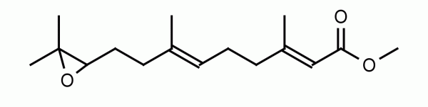 trans-trans-10,11-Epoxyfarnesenic Acid methyl ester (Juvenile Hormone III) - Echelon Biosciences