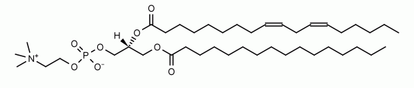 1-Palmitoyl-2-linoleoyl-sn-glycero-3-phosphocholine (PLPC) - Echelon Biosciences