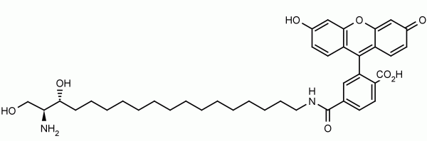 Sphinganine-fluorescein - Echelon Biosciences