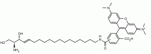 Sphingosine-tetramethylrhodamine - Echelon Biosciences