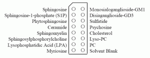 Sphingo Strips - Echelon Biosciences