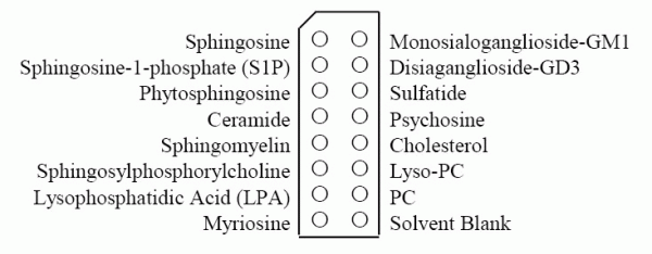 Sphingo Strips - Echelon Biosciences