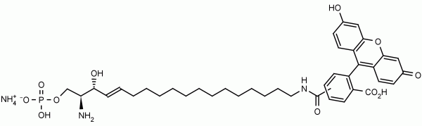 Sphingosine 1-phosphate fluorescein (S1P fluorescein) - Echelon Biosciences