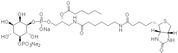 GloPIPs Biotin-PI(5)P - Echelon Biosciences