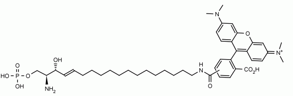 Sphingosine 1-phosphate tetramethylrhodamine (S1P TAMRA) - Echelon Biosciences