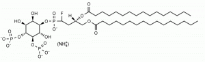 PtdIns(4,5)P2 a-fluorophosphonate, diC16 (ms-PtdIns(4,5)P2 diC16) - Echelon Biosciences