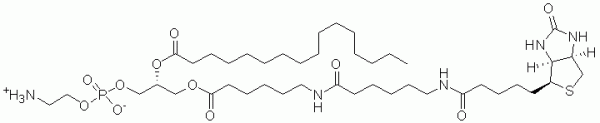 Biotin-Phosphatidylethanolamine - Echelon Biosciences