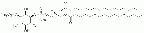 PI(3)P diC16 (Phosphatidylinositol 3-phosphate diC16) - Echelon Biosciences