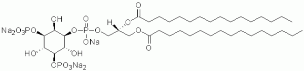 PI(3,5)P2 diC16 9Phosphatidylinositol 3,5-bisphosphate diC16) - Echelon Biosciences