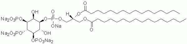 PI(3,4,5)P3 diC16 (Phosphatidylinositol 3,4,5-trisphosphate diC16) - Echelon Biosciences