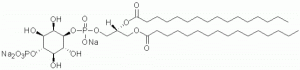 Phosphatidylinositol 4-phosphate diC16 (PI(4)P diC16) - Echelon Biosciences