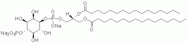 Phosphatidylinositol 4-phosphate diC16 (PI(4)P diC16) - Echelon Biosciences