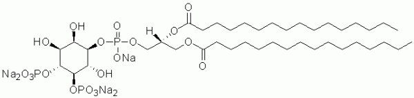 Phosphatidylinositol 4,5-bisphosphate diC16 (PI(4,5)P2 diC16) - Echelon Biosciences