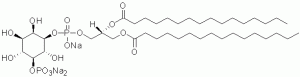 Phosphatidylinositol 5-phosphate diC16 (PI(5)P diC16) - Echelon Biosciences