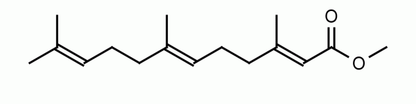 Methyl (2E,6E)-3,7,11-trimethyldodeca-2,6,10-trienoate ((E,E)-Methyl Farnesoate) - Echelon Biosciences