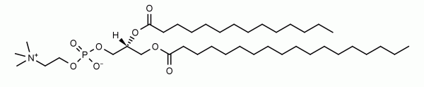 1-Stearoyl-2-myristoyl-sn-glycero-3-phosphocholine (SMPC) - Echelon Biosciences