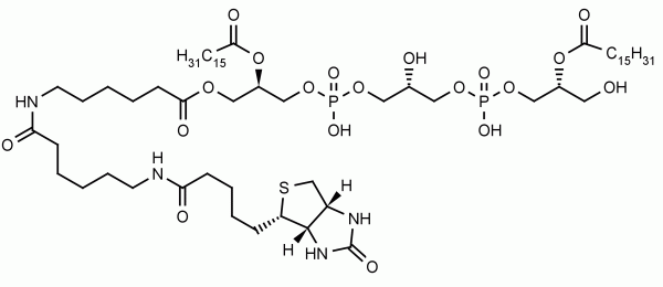 Biotin Monolysocardiolipin - Echelon Biosciences