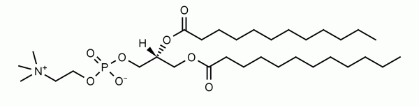 1,2-Dilauroyl-sn-glycero-3-phosphocholine (DLPC) - Echelon Biosciences