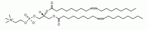 1,2-Dioleoyl-sn-glycero-3-phosphocholine (DOPC) - Echelon Biosciences