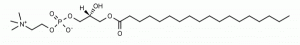 S-lysoPC, LPC - Echelon Biosciences