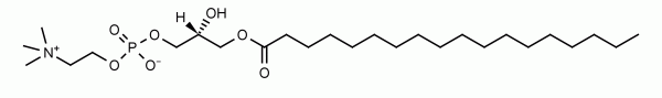S-lysoPC, LPC - Echelon Biosciences