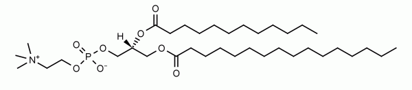 1-Palmitoyl-2-lauroyl-sn-glycero-3-phosphocholine (PLPC) - Echelon Biosciences