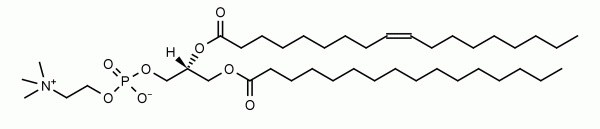 1-Palmitoyl-2-oleoyl-sn-glycero-3-phosphocholine (POPC) - Echelon Biosciences