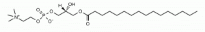 P-lysoPC, LPC - Echelon Biosciences